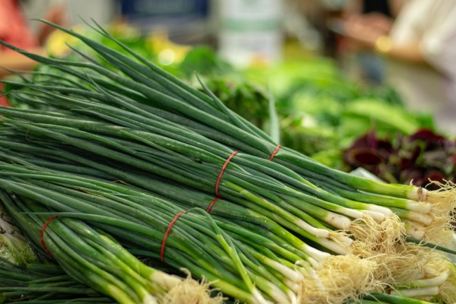 Зелена цибуля, пучок