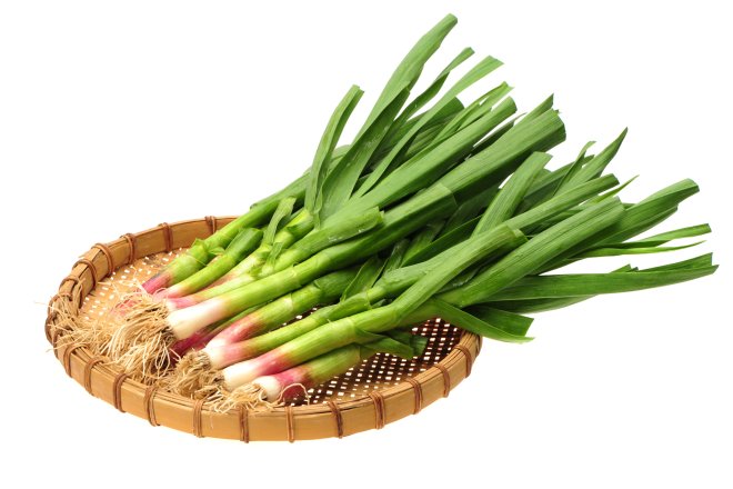 Часник молодий