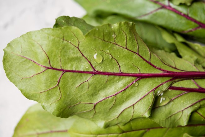 Листя буряка