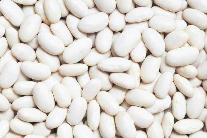 Квасоля біла
