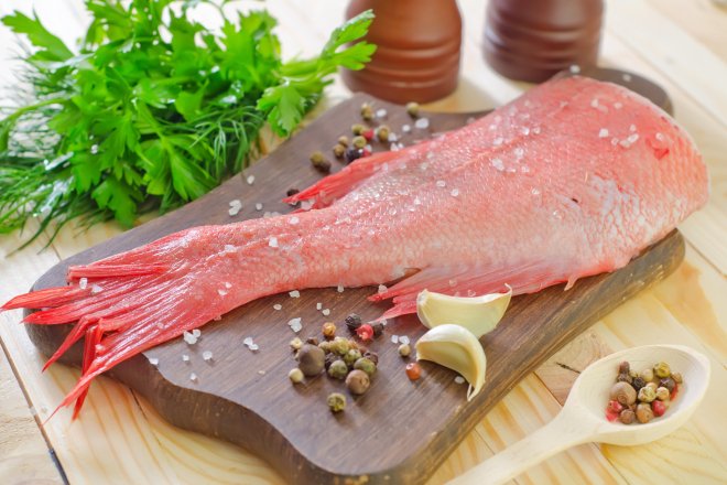 Морський окунь