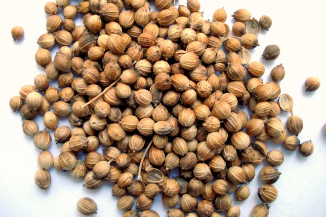 Коріандр, насіння