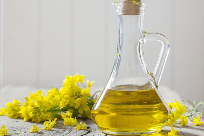 Олія каноли