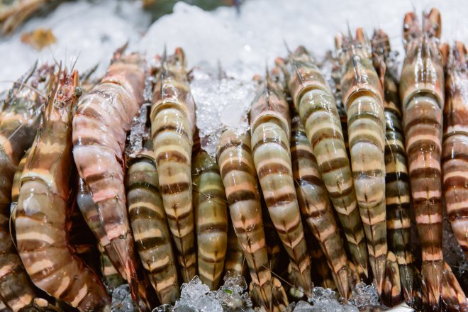 Креветки тигрові