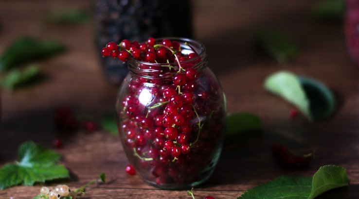 Порічки на зиму