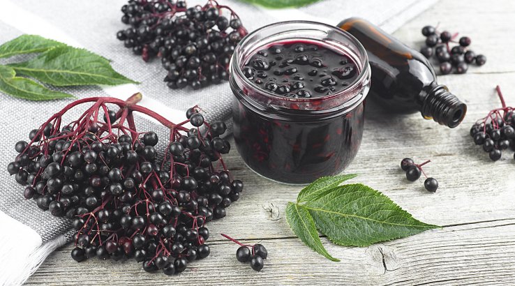 Желе із бузини