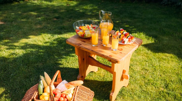 Літо, пікнік на природі