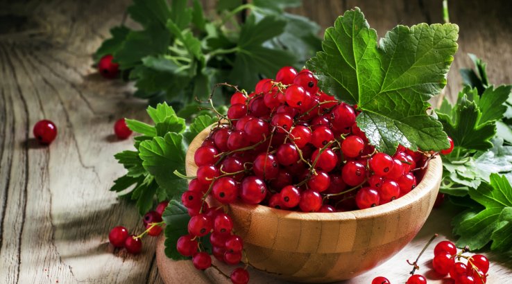 червона порічка