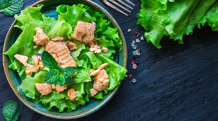 Шматочки консервованого лосося в тарілці на листі салату