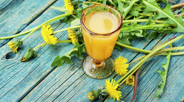 Домашнє вино з кульбаб