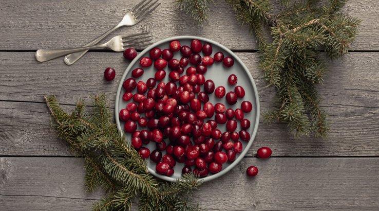 Клюква: польза и 5 причин, почему надо есть эту ягоду