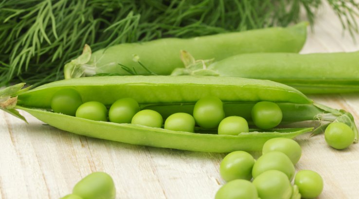 Зелений горошок