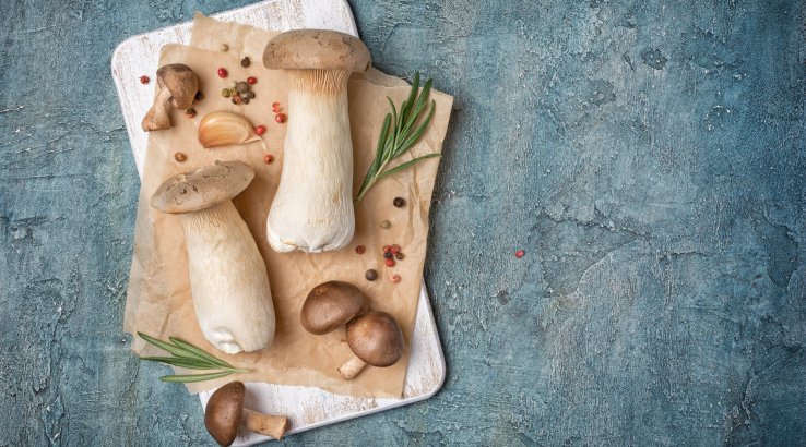 Грибы эринги