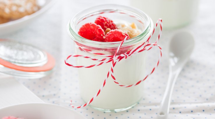 Домашній грецький йогурт рецепт