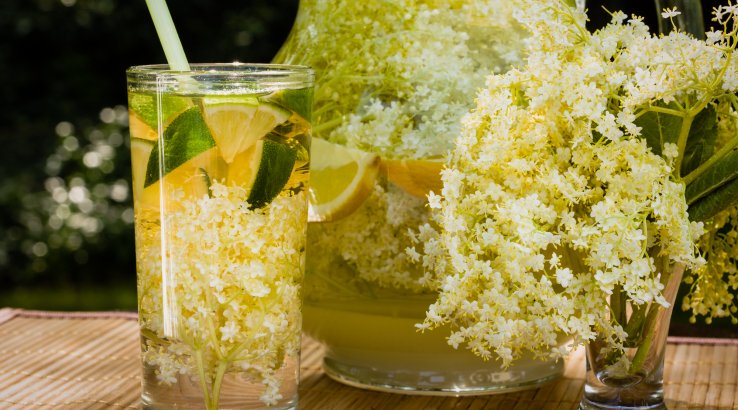 Бузиновий лимонад