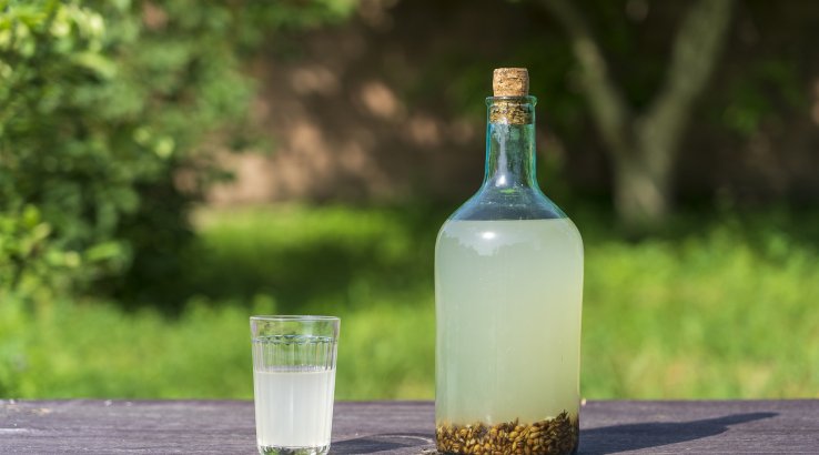 Вівсяний квас