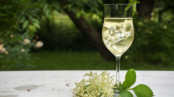 Домашнє бузинове шампанське