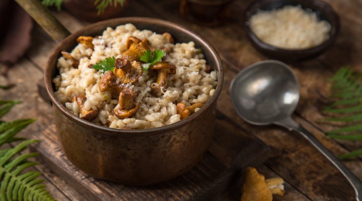 Як готувати лисички