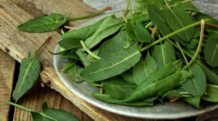 Засолений щавель