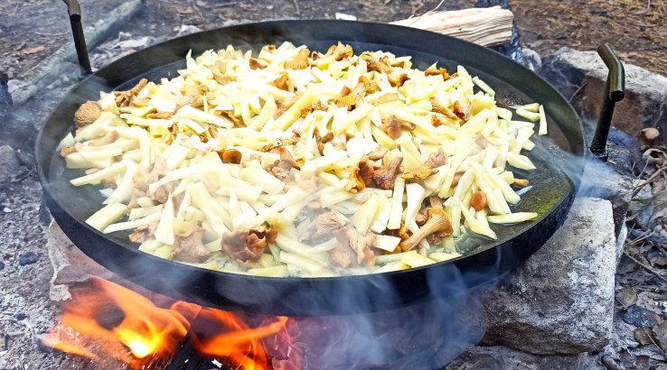 картопля з грибами на диску з борони