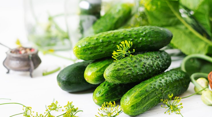 Малосольні огірки з гірчицею