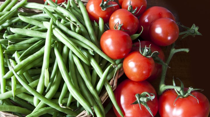 Стручкова квасоля з помідорами