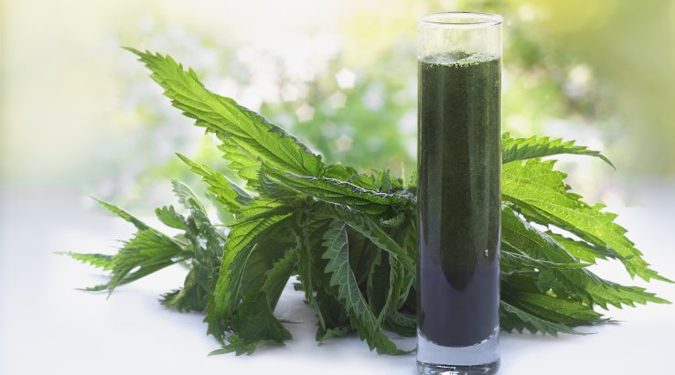 Смузі з кропиви