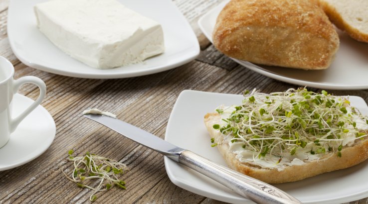 Сирна намазка