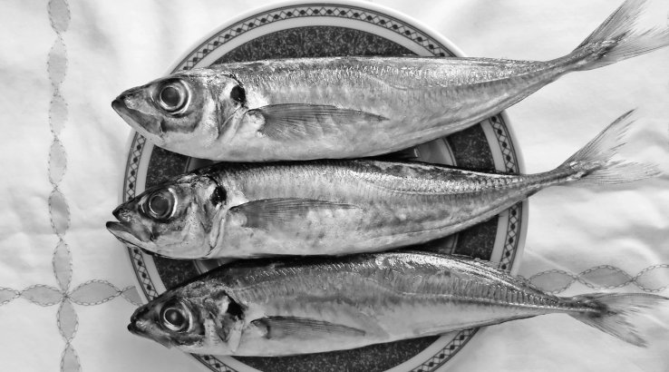 Як засолити ставриду