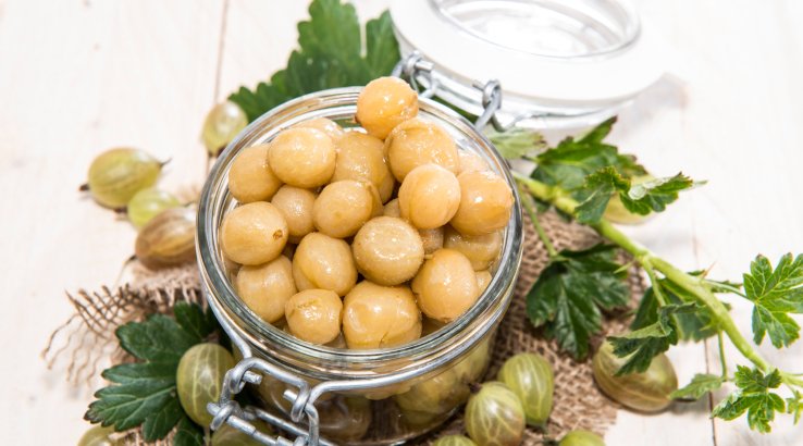 Консервований аґрус