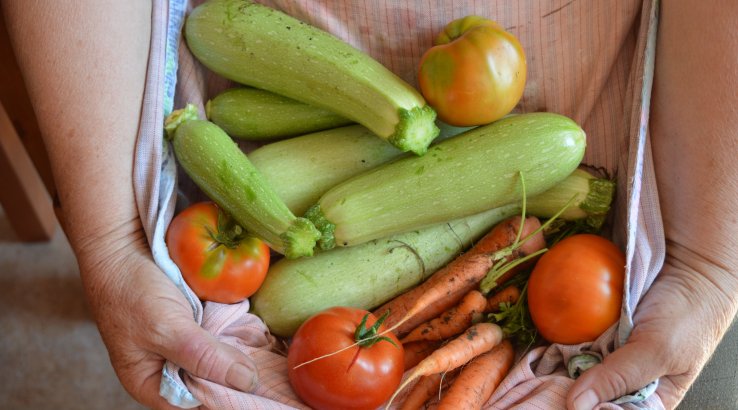 Кабачки и цукини