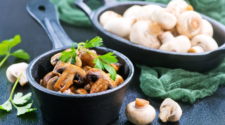 Гриби бордолез