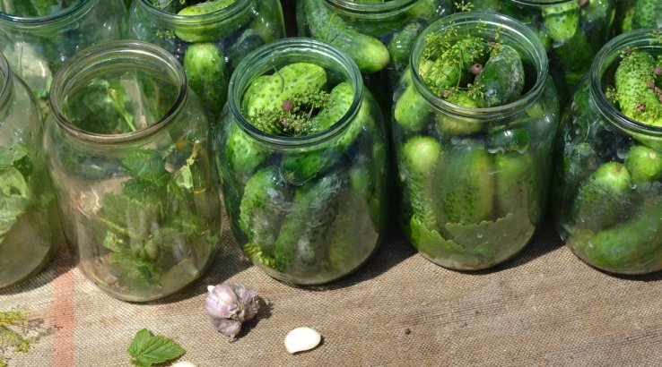 Квашені огірки за три дні