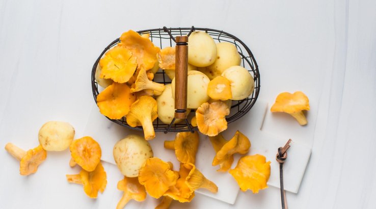 Як сушити гриби