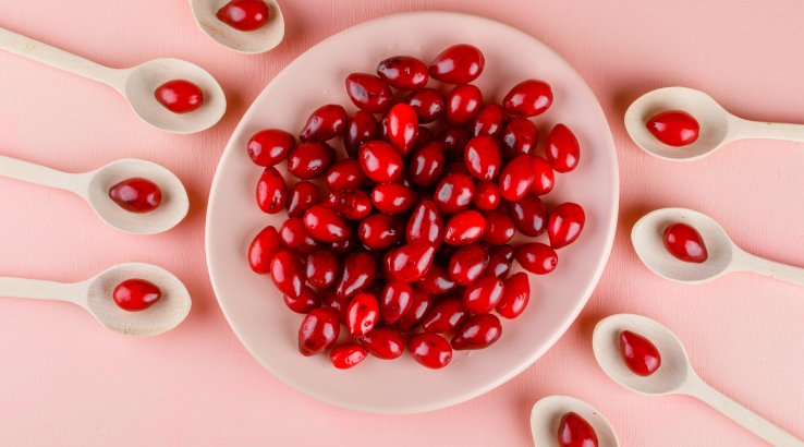 Поддерживает печень, кровь и почки: ученые рассказали, чем полезен кизил