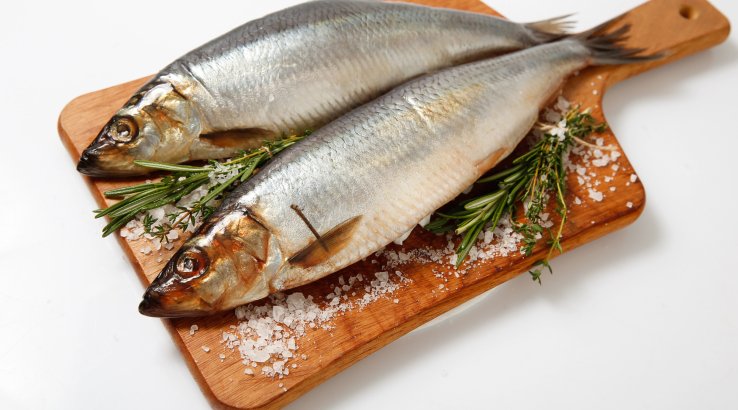 Солоний оселедець