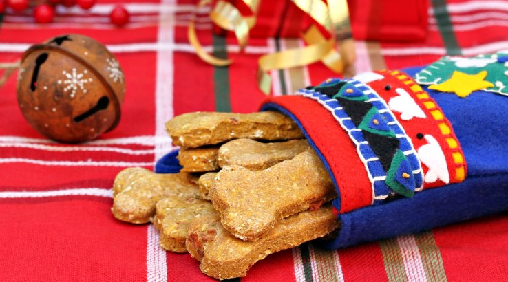 Собаче печиво