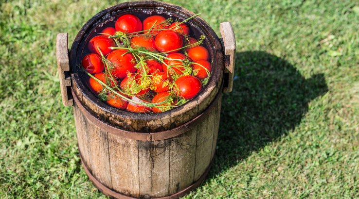 Квашені помідори в діжці
