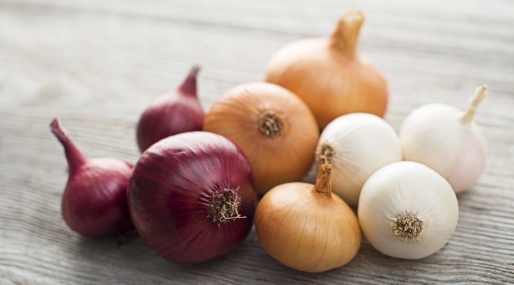 Три види лука