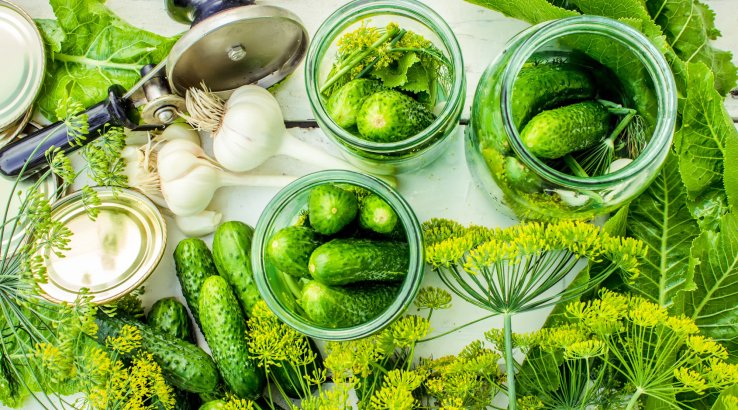 Маринад з кропом