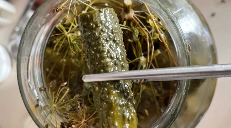 Солоні огірки