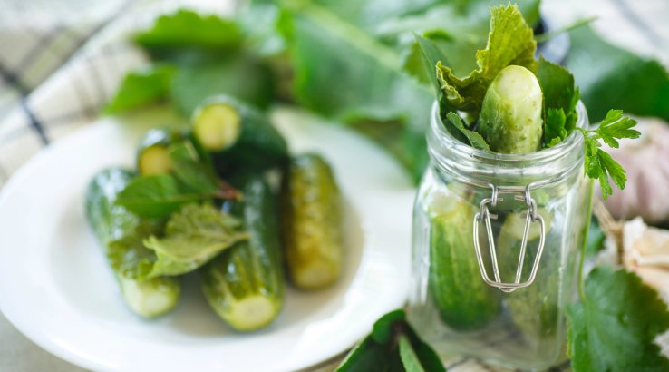 Как готовить малосольные огурцы