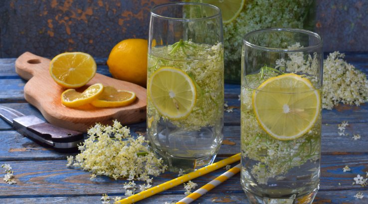 Напої з бузини