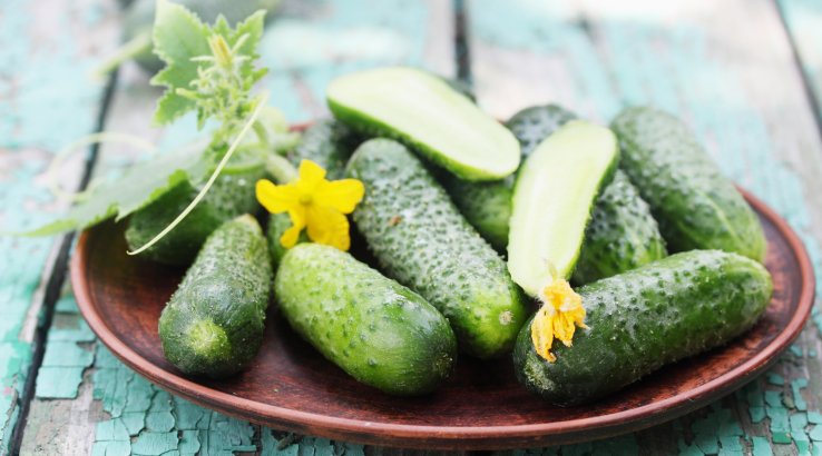 свіжі огірки