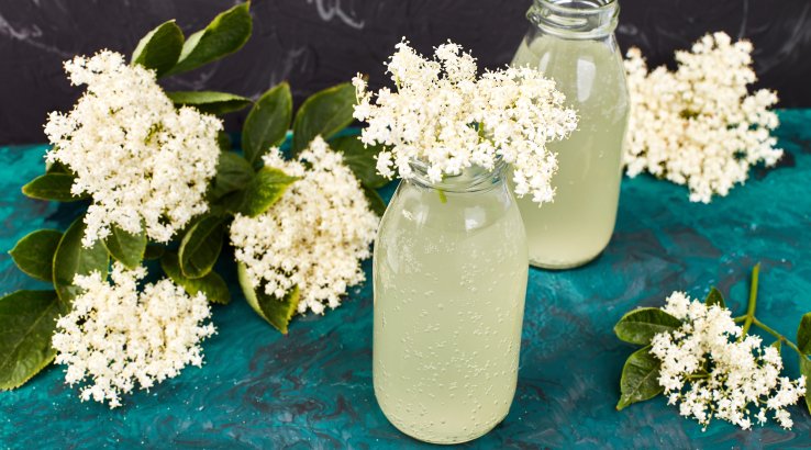 газований квас із квітів бузини