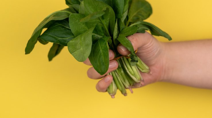 Щавель для консервації