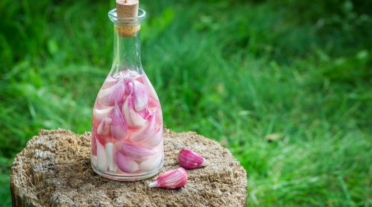 Настойка чеснока на водке