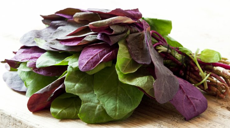 Лобода і шпинат