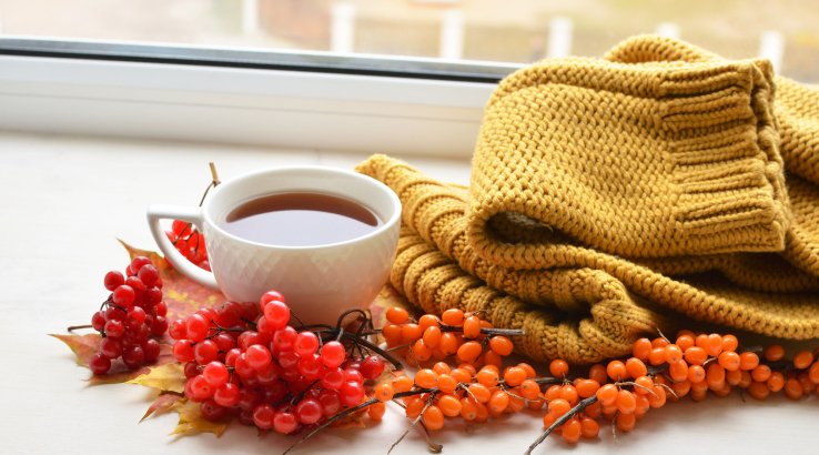 Калиново-обліпихова настоянка