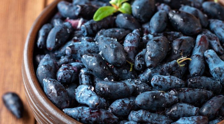 Джем із жимолості без згущувачів — найпростіший рецепт